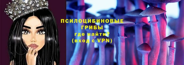 шишки Алексин