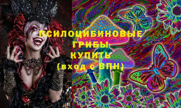 шишки Алексин