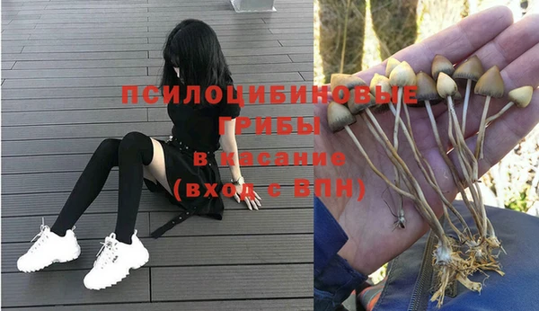 шишки Алексин