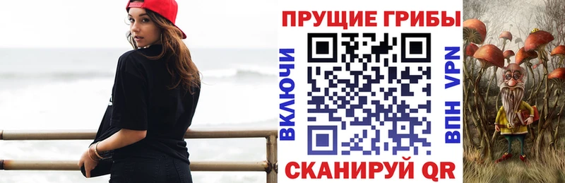 магазин продажи   Дыгулыбгей  Псилоцибиновые грибы Cubensis 